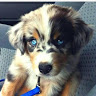 Makayla A.'s profile image