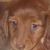 Mary Bauter's profile image