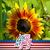Diane Ingrum's profile image