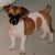 Gail Boyette's profile image