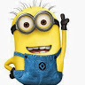 Chapman's profile image