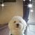 Brigid D. Burgan's profile image