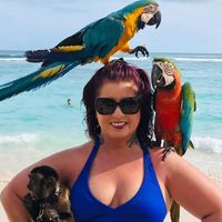 Julie Adkins Paul's profile image