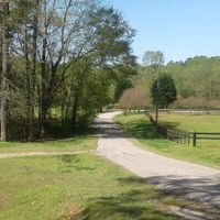 Rhonda Hildebrand's profile image