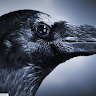 Michael B.'s profile image