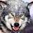 Alex B Munson's profile image