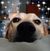 Amy Reeder's profile image