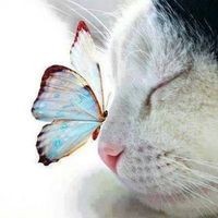 Maggie Fosnot's profile image