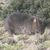 Mel Diefenbach's profile image