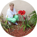 Myrna Steele's Profile Image