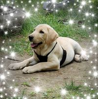 Debbie Bordeaux's profile image