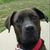 Louise Padin's profile image