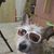 Nannette Gordon's profile image