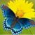 Lona Terry's profile image