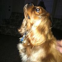 Vonda Butler's profile image