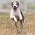 Sheena Staples's profile image
