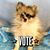 Aletta Karlau Humphrey's profile image