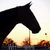 Amber Shamhart's profile image