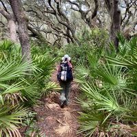 Jan E. Yarborough's profile image