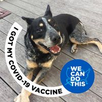Carolyn Moneymaker's profile image