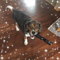 Shawn N JuLee Gegelman's profile image