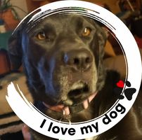 Shelly Viellieux's profile image