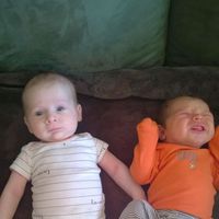 Michelle Lessard's profile image