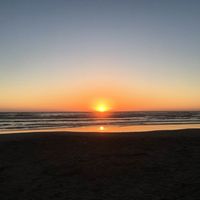 Brandi Mullaney's profile image