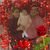 Isabel Hernandez's profile image