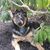Diane Feathers-Grady's profile image