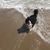 Karen Souders's profile image