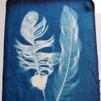 Darcy Berg's profile image