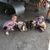 Tracy Mitchell Protzman's profile image