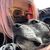 Ellen Marett Hoffmann's profile image