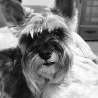 Amy Yost Nickerson's profile image