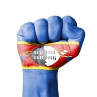 Innocent Madonsela's profile image