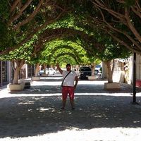 Alex Hernandez's profile image