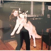 Imka Sebastiansdottir's profile image
