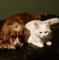 Kathy Stadelman's profile image