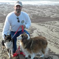 Douglas Johnston's profile image