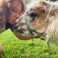 Kellie L. H. Brindley's profile image