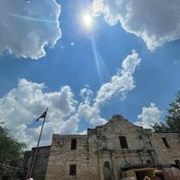 Michele Cooper's profile image