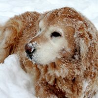 Adam Jaffe's profile image