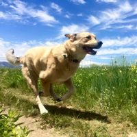 Sarah Rewold's profile image