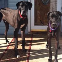 James Cruickshank's profile image