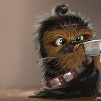 Dewi Doyle Brindley's profile image