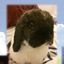 Brandy's profile image