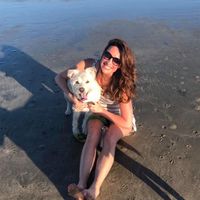 Meg Gibbons's profile image