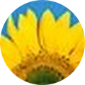 Mimi Brown's Profile Image