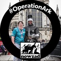 Nicola Stokes's profile image